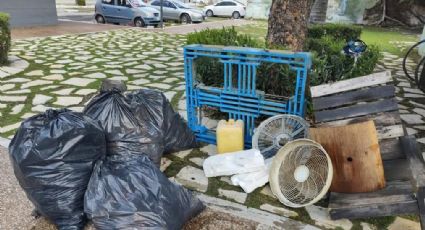 ¿Cuánta basura de recolecta diariamente en la Laguna del Carpintero?