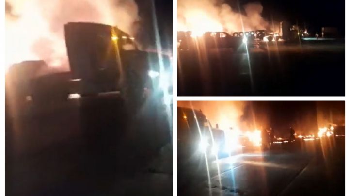 (VIDEO) Arde vía en Tamaulipas: choque de tractocamiones deja una persona calcinada