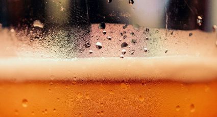 Revisa tu cerveza: si tiene estos ingredientes es peligrosa para tu cuerpo