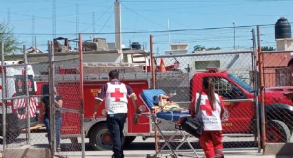 Atacan abejas a niños en jardín de niños de Torreón