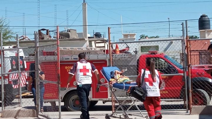 Atacan abejas a niños en jardín de niños de Torreón