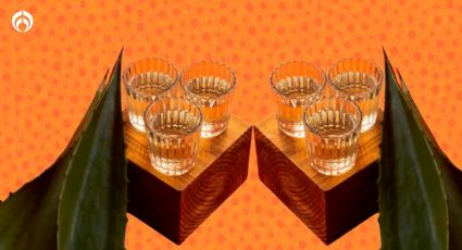 Mezcal: estos son los mejores según Profeco… ¡y cuestan menos de mil pesos!