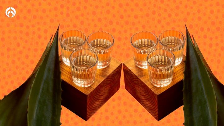 Mezcal: estos son los mejores según Profeco… ¡y cuestan menos de mil pesos!