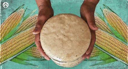 Tortillas: ¿Cuáles son las favoritas de las y los mexicanos y de qué están hechas?