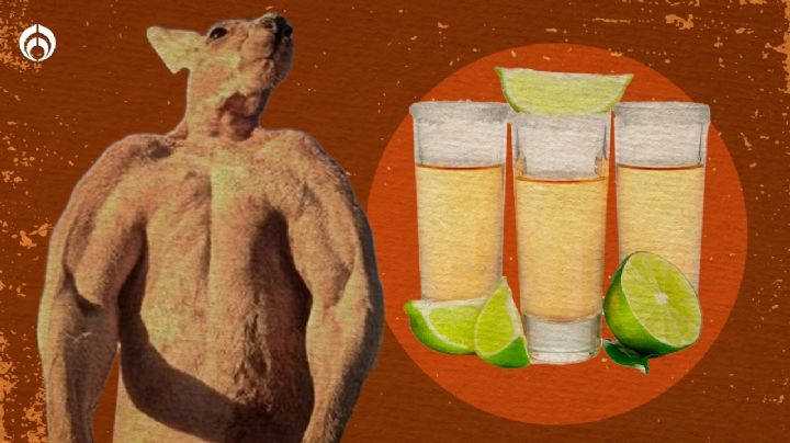 Tequila australiano: así es la bebida que quiere 'comerle el mandado' a México