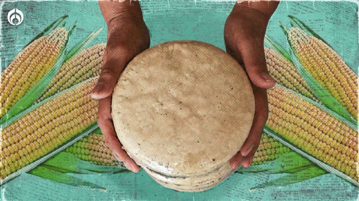 Tortillas: ¿Cuáles son las favoritas de las y los mexicanos y de qué están hechas?