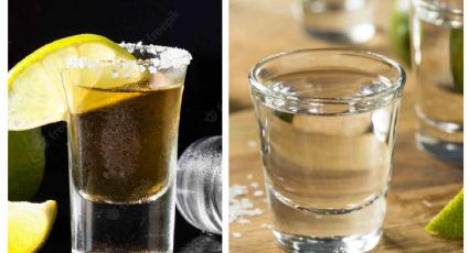 ¿Son lo mismo? Esta es la diferencia entre tequila y el licor de agave