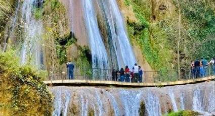 "Revive" la Cola de Caballo, la emblemática cascada de Nuevo León (VIDEO)