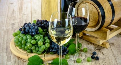 Vino tinto o vino blanco: ¿Cuál es más saludable?