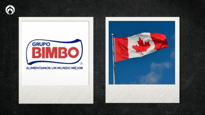 Bimbo: ¿por qué es tan importante esta empresa mexicana para Canadá?