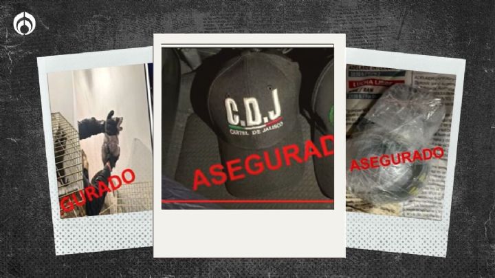 Armas, gorras del CJNG y hasta un mapache: esto le hallaron a agresores de Ciro (FOTOS)