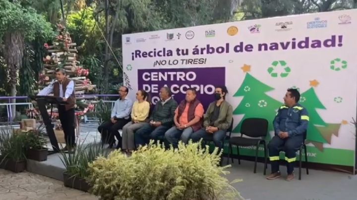 Se acabaron las fiestas decembrinas ¿Qué hacer con tu arbolito de Navidad?