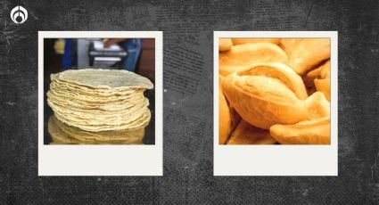 Tortilla vs. bolillo: ¿Cuál es mejor para tu salud? Esto dice la UNAM