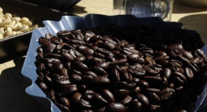 Las 3 mejores marcas de café mexicano para este 2023, según expertos