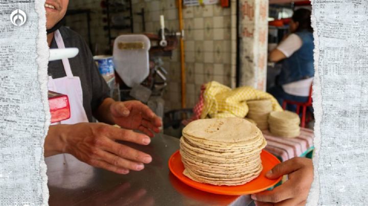 4T 'blinda' precio de la tortilla: fija arancel del 50% a exportadores de maíz blanco