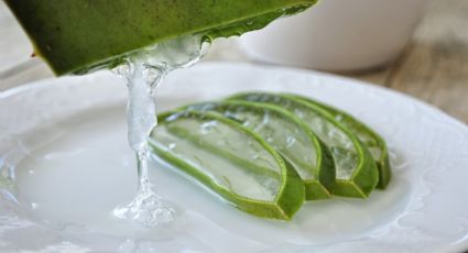 3 usos del aloe vera que quizá no conoces… y beneficiarán tu salud