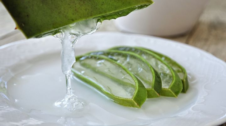 3 usos del aloe vera que quizá no conoces… y beneficiarán tu salud