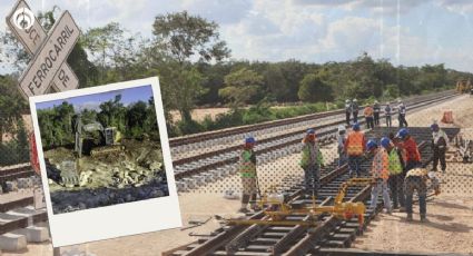 Freno al Tren Maya: juez otorga nueva suspensión provisional del Tramo 5 Norte y Sur