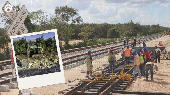 Freno al Tren Maya: juez otorga nueva suspensión provisional del Tramo 5 Norte y Sur