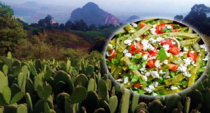 Tlalnepantla, Morelos, ¿Por qué es la Capital Mundial del Nopal?