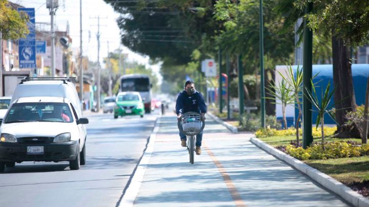 'Ea ea pedalea'; más de 20 km de ciclovias construidas el año pasado en León