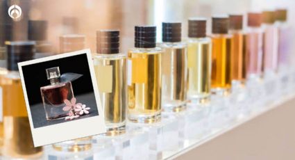 ¿De qué están hechos los perfumes? Estos son los mitos y realidades