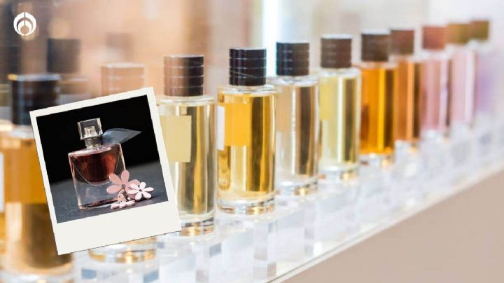 ¿De qué están hechos los perfumes? Estos son los mitos y realidades