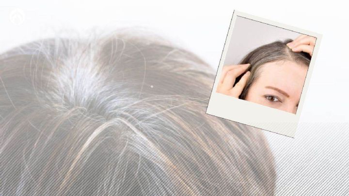 Ojo: 3 razones por las que tu cabello se puede llenar de canas