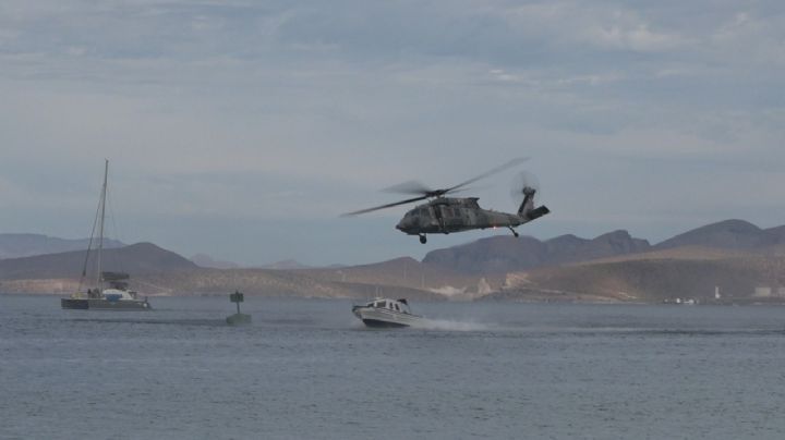 Más de un 'centenar' de barcos camaroneros están afectando los fondos marinos en BCS