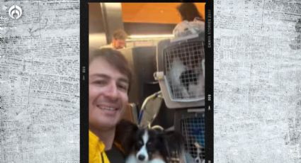 (VIDEO) Así fue el emotivo reencuentro del hombre y sus 4 perritos extraviados por una aerolínea