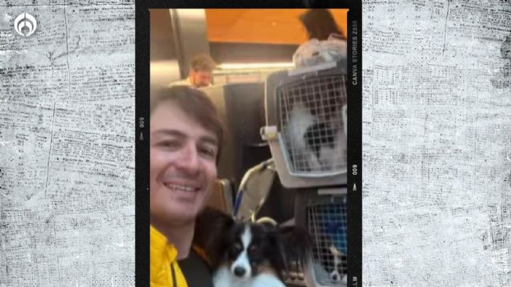 (VIDEO) Así fue el emotivo reencuentro del hombre y sus 4 perritos extraviados por una aerolínea