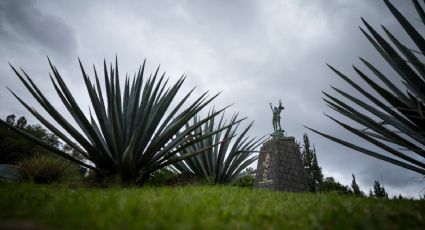 Universidad Autónoma de Querétaro consolidará en 2023 su expansión en el estado