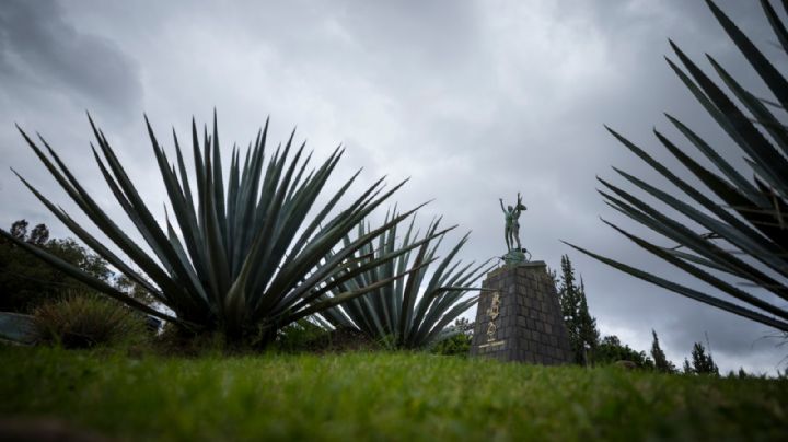 Universidad Autónoma de Querétaro consolidará en 2023 su expansión en el estado