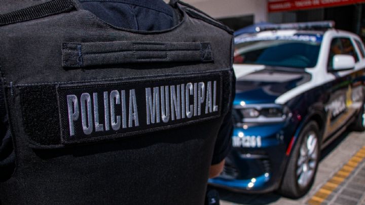 Se recuperan más de 70 automóviles robados en operativo decembrino