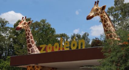 Parque de la vida ayudara al crecimiento del zoológico de León