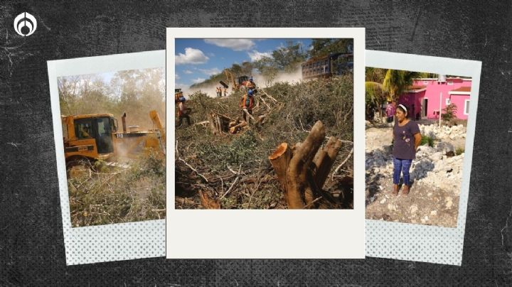 Los 'peligros' del Tren Maya en FOTOS: daños a la selva y los cenotes, según Reuters