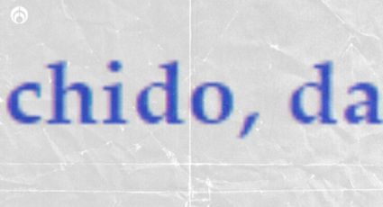 ¿Cuál es el origen de la palabra chido y de qué idioma es?