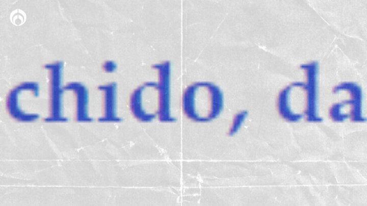 ¿Cuál es el origen de la palabra chido y de qué idioma es?