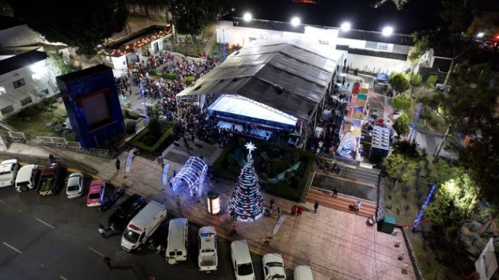 Alcaldía Álvaro Obregón invita a reciclar los árboles naturales de Navidad