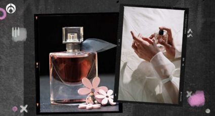 Perfumes: estos son los 4 aromas ideales para usar en eventos de noche