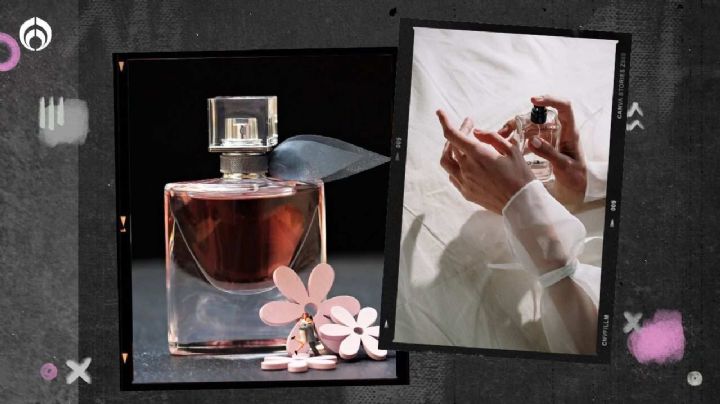 Perfumes: estos son los 4 aromas ideales para usar en eventos de noche