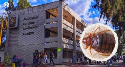 El ‘fantasma’ de las chinches: FES Aragón suspende clases presenciales otra vez