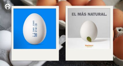 Huevos San Juan vs. Bachoco: ¿Cuáles son los más nutritivos y baratos?