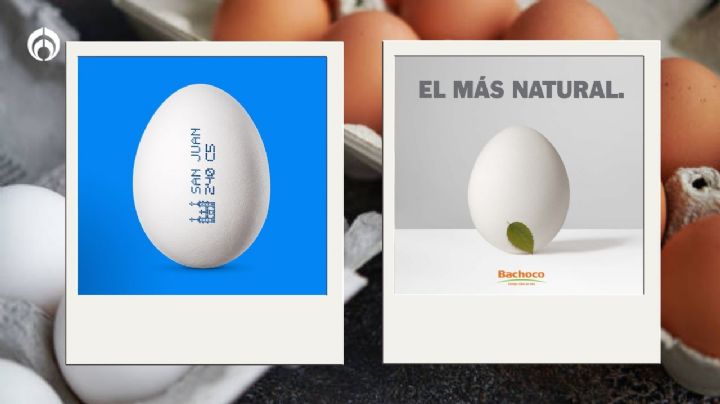 Huevos San Juan vs. Bachoco: ¿Cuáles son los más nutritivos y baratos?