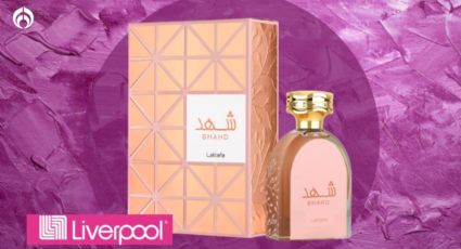 Liverpool remata el duradero y dulce perfume árabe de Lattafa por el que recibirás cumplidos