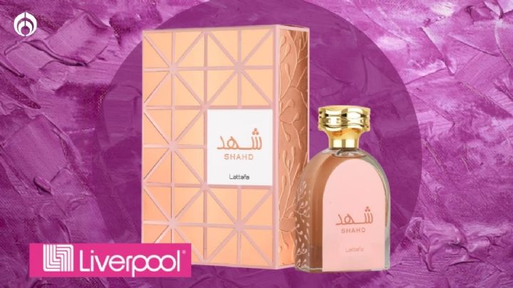 Liverpool remata el duradero y dulce perfume árabe de Lattafa por el que recibirás cumplidos