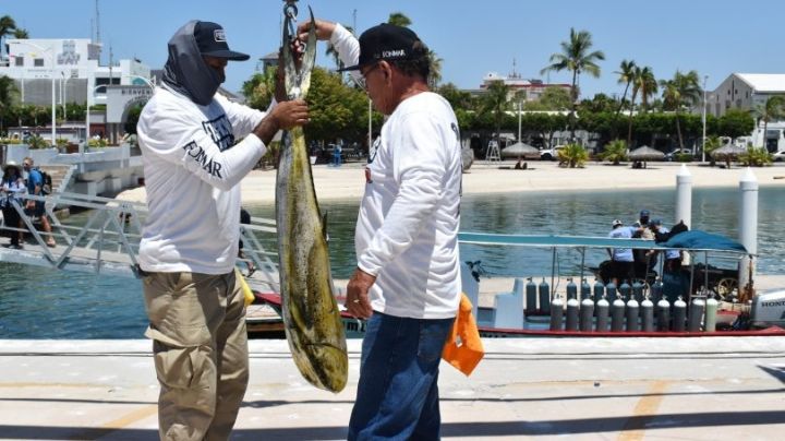 Pesca deportiva en BCS: Victor Castro en contra de liberar pez dorado para su comercialización