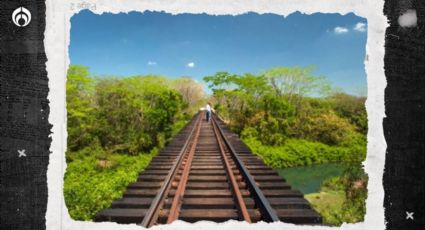 AMLO quiere más Tren Maya: pedirá a empresarios usar vías para trenes de pasajeros