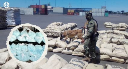 Fentanilo: estos son los puertos de México que el narco usa para traficarlo