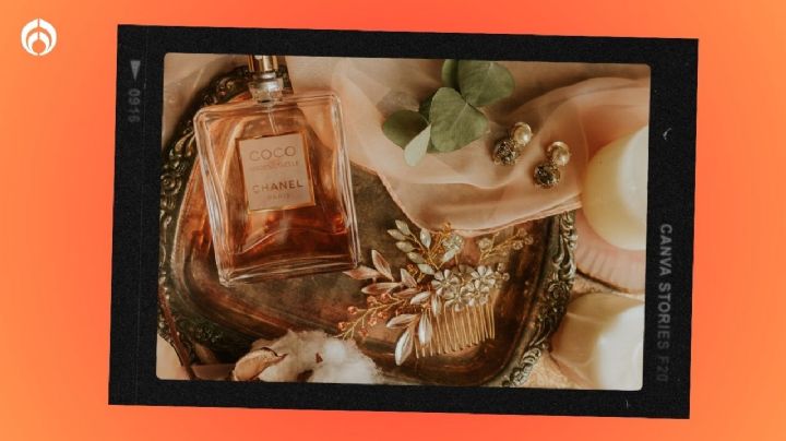 Los perfumes amaderados que Vogue recomienda para las mujeres de más de 50 años